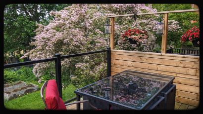 Deck overlooking garden